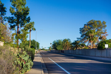 Xeriscaped roadsides of Phoenix Streets, Arizona