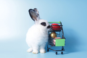 Cute white rabbit on a blue background. There was a shopping cart filled with multi-colored eggs...