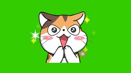 impressed animation orange cute cat on green screen