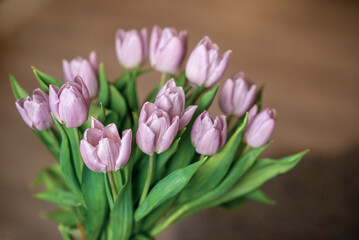 Obraz premium Bouquet of pink tulips 