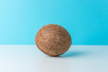 Ripe coconut on blue background. Creative summer minimal concept.