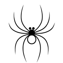 spider on a white background, halloween spider