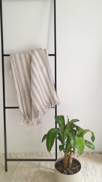 Perchero en habitaci&oacute;n con maseta