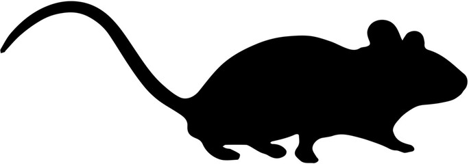 silhouette of a mouse