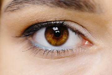 Fototapeta premium Close-up image of a female eye. A woman with beautifully drawn eyes.