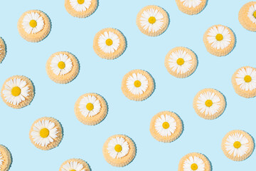 Cookies and white daisy flowers on a pastel blue background. Minimal food and flowers pattern.