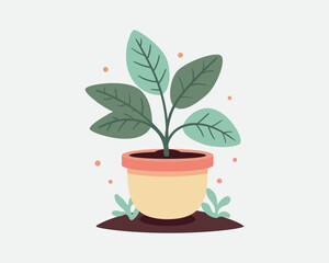 Plant in pot for home decoration. Houseplant vector illustration, isolated on white.