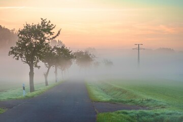 An einem nebligen Herbstmorgen auf dem Weg nach Breitenworbis im Eichsfeld (Thüringen). Nebel...
