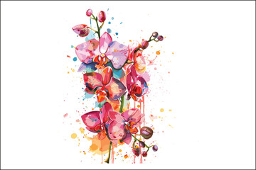 Watercolor orchid floral vector,  
Pink Orchid Flower Bouquet Watercolor, Orchid, Pink, 
watercolor orchid painting, watercolor orchid drawing, watercolor orchid flower painting, watercolor orchid