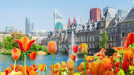 view of Binnenhof - Dutch Parliament with fountain and flowers, The Hague, Holland