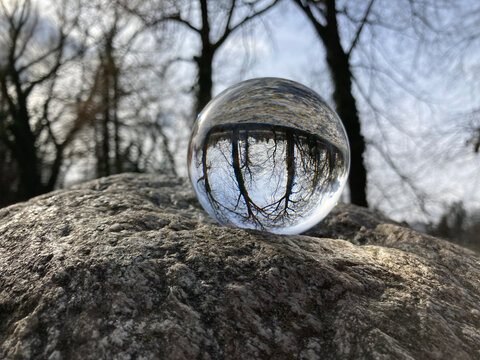 753099837 Glaskugel auf Fels mit B&auml;umen