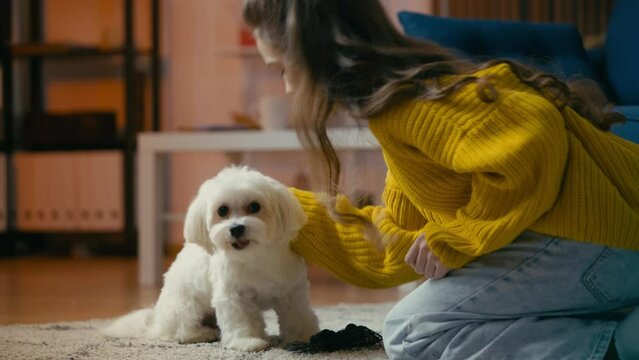 Teen girl teaching pet tricks and giving it treats, kissing adorable Maltese dog