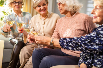Group of senior women toasting with white wine glasses at home gathering