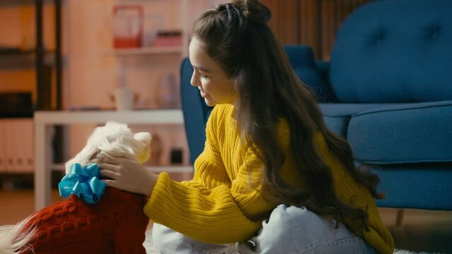 Happy teenage girl receiving Maltese dog as a present, pet adoption, best friend