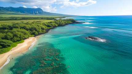 Obraz premium Hawaiian Dreams: Breathtaking Beach Escapes