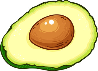 Avocado Fruit with Seed Colored Detailed Illustration
