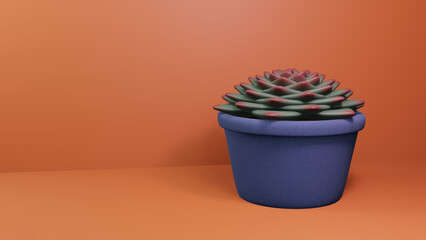 Succulent in a pot
