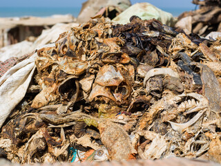 restes de poissons séchés et salés pour la consommation sur le port d pêche traditionnel de...