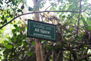All Spice Garden labels. Gardening signs and symbols on the farm for plant direction and information.