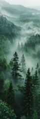 Foggy Nordic Forest at Twilight Generative AI