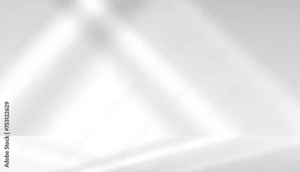 Poster shadow overlay effect.transparent soft light,shadow from window.vector mockup of abstract overlay ef