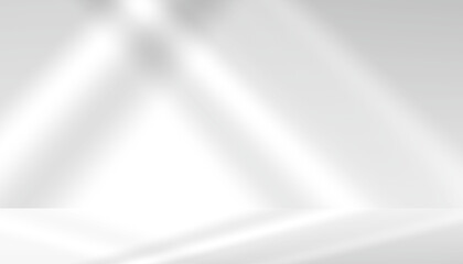 Shadow overlay effect.Transparent soft light,shadow from window.Vector Mockup of abstract overlay effect and natural lightning scene for studio room background,Reflection shadows on wall