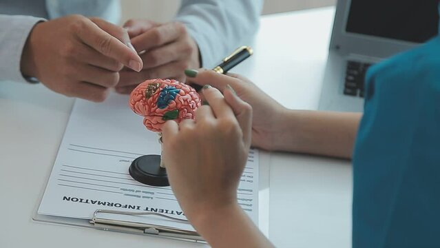 Neurologist hand pointing brain anatomy human model and brain disease lesion on white background.Part of human body model with organ system for health and doctor student study in university.