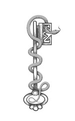 Ancient Esoteric Symbols of Key and Snake Tattoo Drawn in Engraving Style
