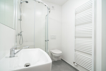 Bright white small bathroom with sink, wc and shower. The bathroom has a large mirror, toilet flush button, heating ladder and ventilation fan.