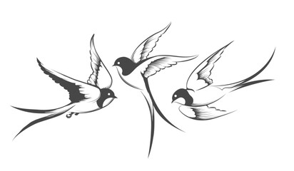 Flying Swallow Set. Bird in Motion Drawn in Engraving Style