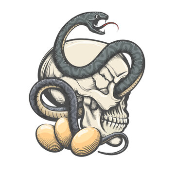Skull and Snake with snake Eggs Engraving Tattoo Graphics Design
