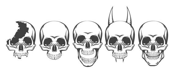 Human Skull Front View Set