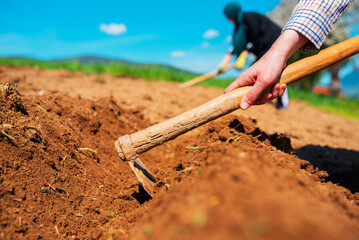 A farmer cultivates the soil, Manual cultivation and care of crops