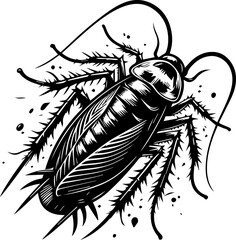  American Cockroach 