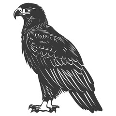 Fototapeta premium Silhouette eagle animal black color only full body