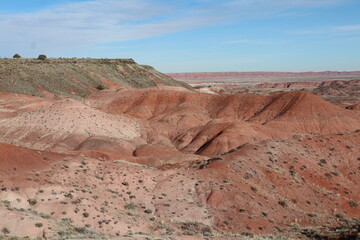 Petrified Forest National Park