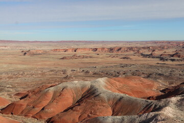 Petrified Forest National Park