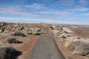 Petrified Forest National Park, Arizona