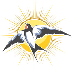 Flying Swallow on Shining Sun Background