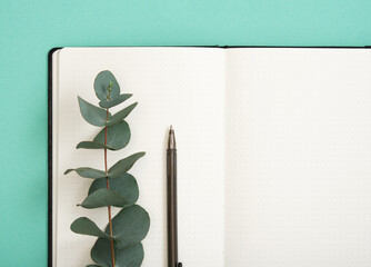 Stem of Eucalyptus gunnii lies on blank page of notebook. Space for your text.