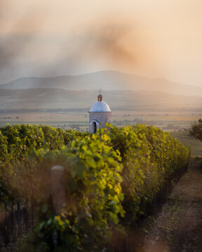 hradistek during golden hour viewed through vineyards