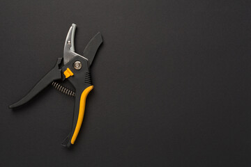 Secateurs on color background, top, view