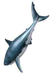 3D Rendering Shark on White
