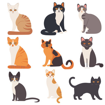 vector cute cat cartoon characters illustrations set isolated on background