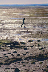 Hombre paseando por las marismas de Cadiz, España