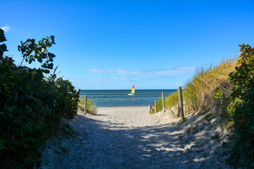 Path between the dunes with a view of a sailing ship