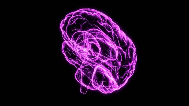 Purple hologram human brains on black background.
Bright SciFi style.Seamless animation. 
