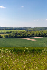 A rural Sussex landscape on a sunny day - 753161214