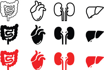 vector set of human internal organs including heart, kidney, liver, small intestine icons, digestive system symbol, stomach good intestine system symbol, isolated on transparent background.
