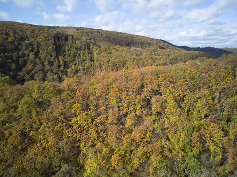 Autumn hills Germany drone . High quality photo